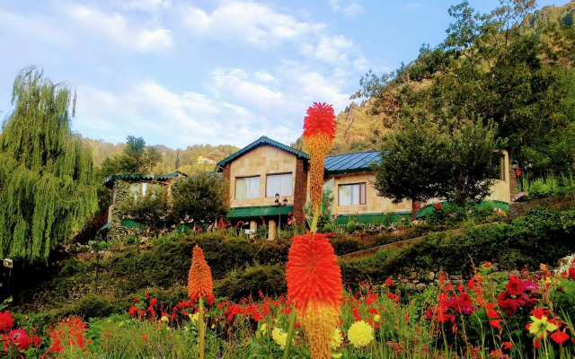 Shervani Hilltop Nainital