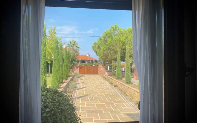 Olives and Vines all Season Villa