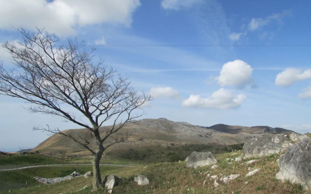 Ark Blue Hotel - Hostel