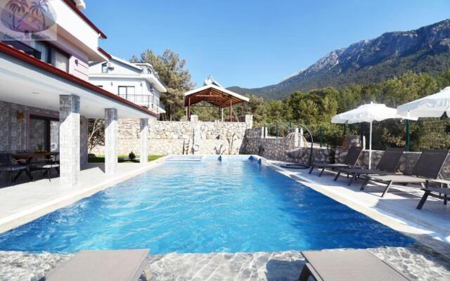 Desen Villa 2