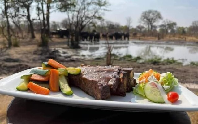 Chobe Mopani Forest Lodge & Camp site