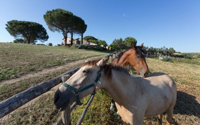 Agriturismo Casa Caponetti