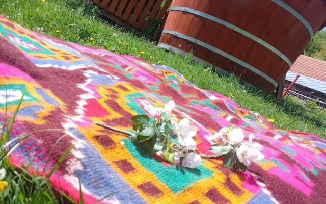 Room in Guest Room - Rural Holiday Transylvania