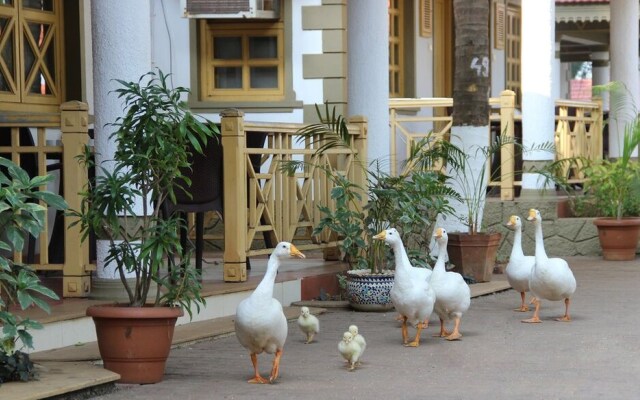 Golden Swan Beach Resort