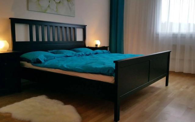 Max Aviation Villa & Apartments