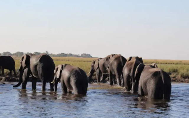 Sandpiper Villas Chobe