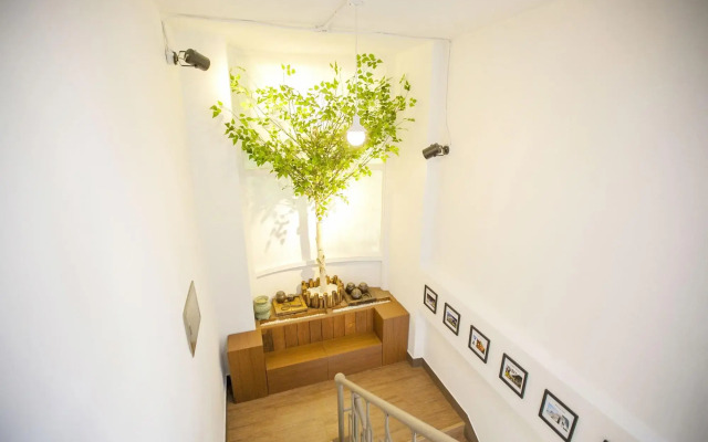Cocoa Guesthouse