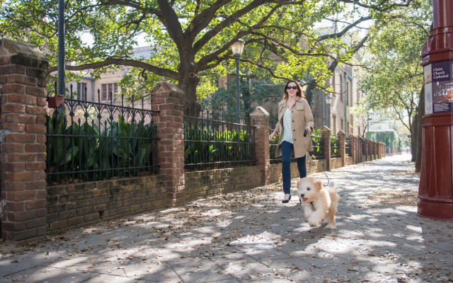 Magnolia Hotel Houston, A Tribute Portfolio Hotel