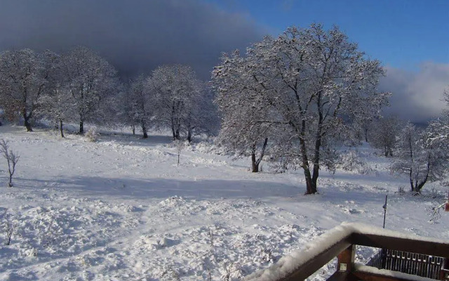 Four Leaf Clover Apartments to Rent
