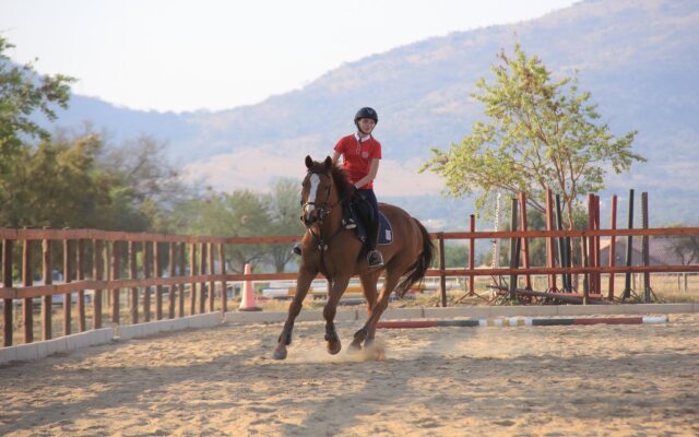 Ibis Way Guest House