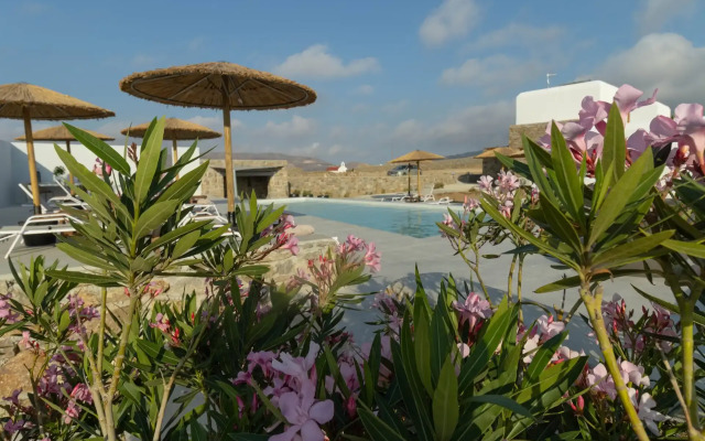 Alirene Mykonos