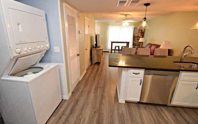 Sand Dollar 14 by RedAwning