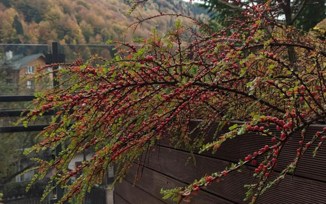 Reef Terrace Apartments
