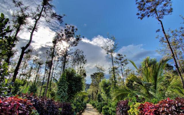 Coorg Bliss Estate Stay