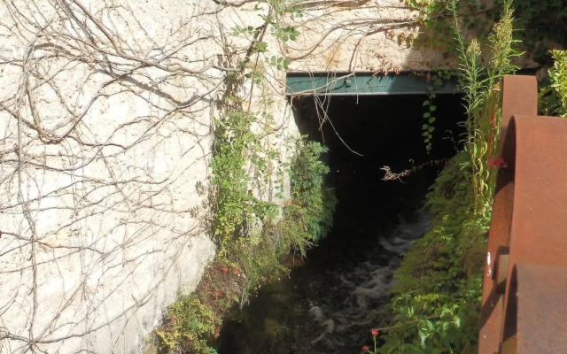 Le Petit Moulin de Veillard