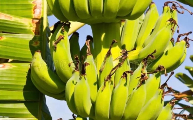 Villa Turquesa 3 Fuerteventura