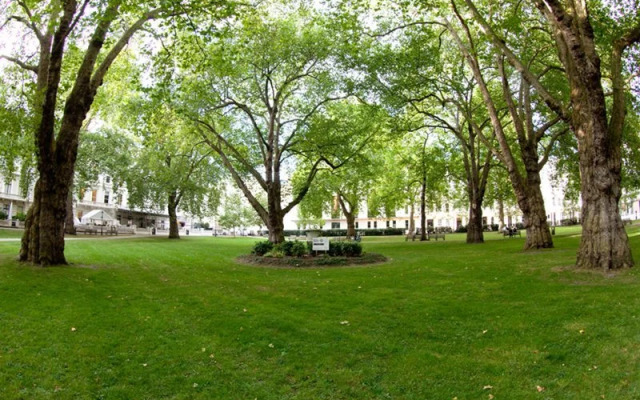 Southside Halls