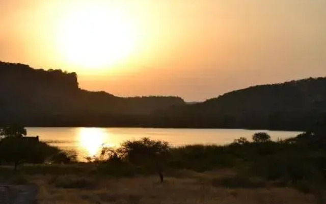 Ranthambore Tiger Home