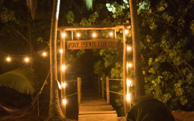 Show Pony Beach Resort and Suites