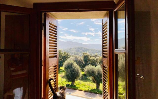 Domaine de Tappa - Casa Filicina