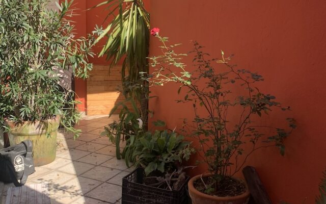 Colonial Villa Coyoacan