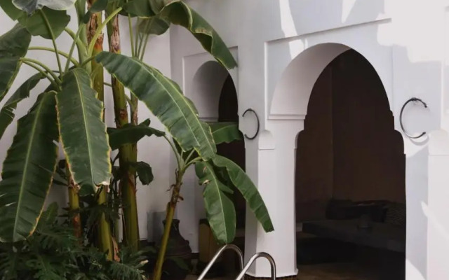 Riad Zahr