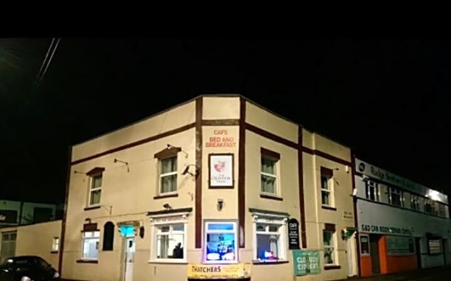 The Fox