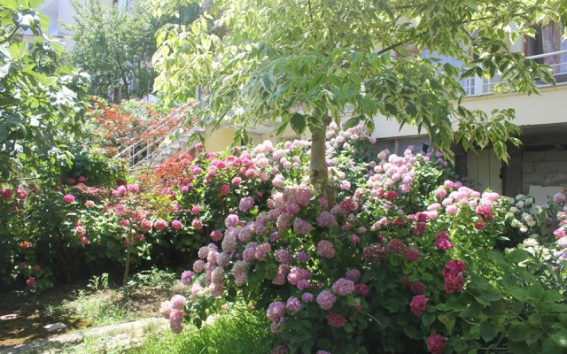 Termal Orkide Motel