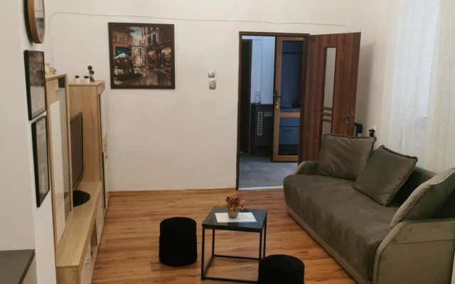 Central Designer Flat