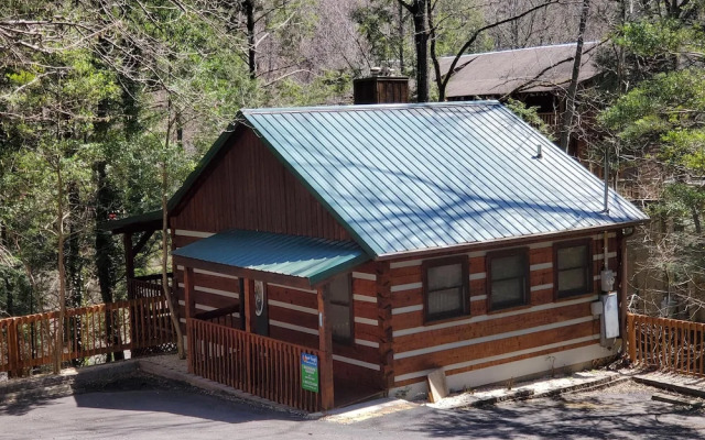 Moonshine Madness #1611