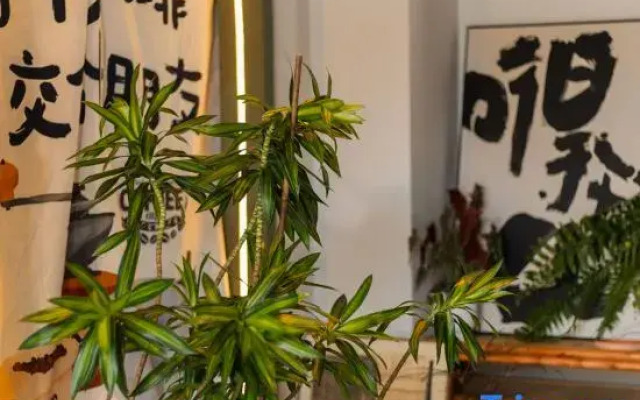 Gui ye Inn (Kangxin Road Changshuo Technology Store)