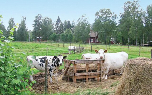 Awesome Home in Hagfors With