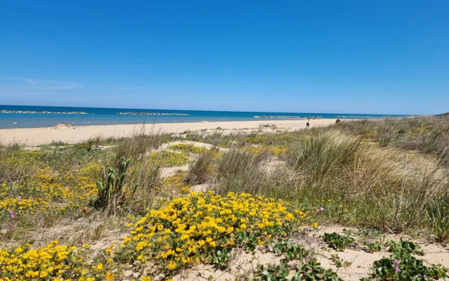 Agriturimo Essentia Dimora Rurale