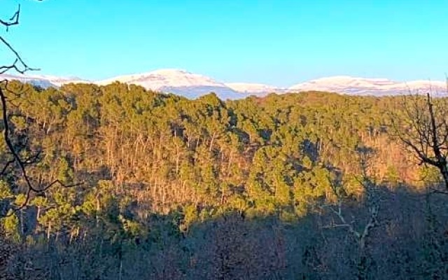 Piedmont en Provence