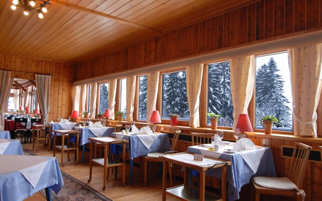 Alpenhotel Gösing