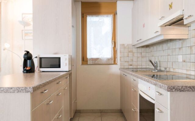 Apartment Grossgaden