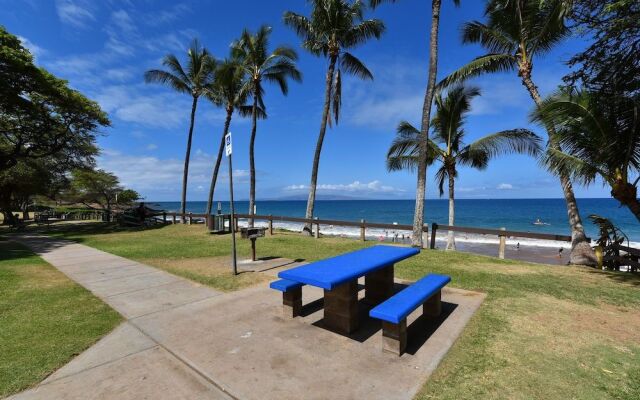 Maui Banyan Q204 by RedAwning