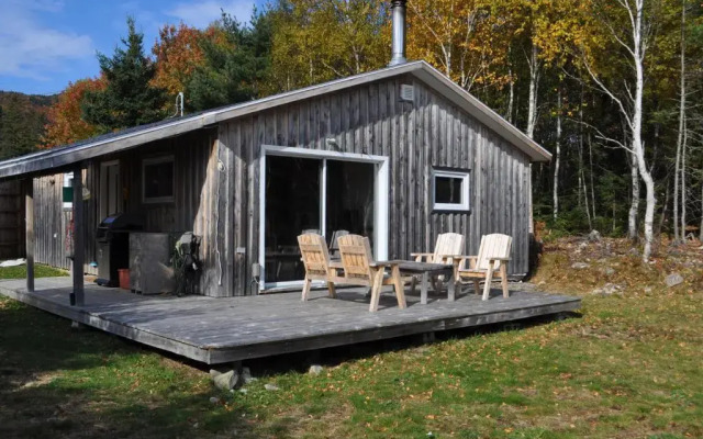 The Dancing Moose Cafe