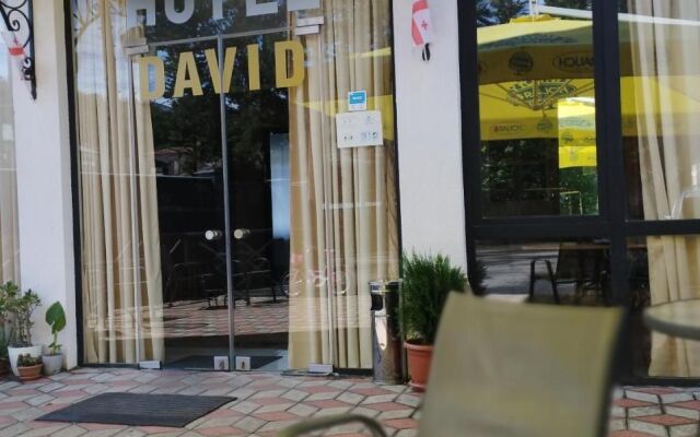 Отель Давид