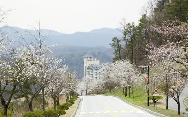 Oakvalley Resort