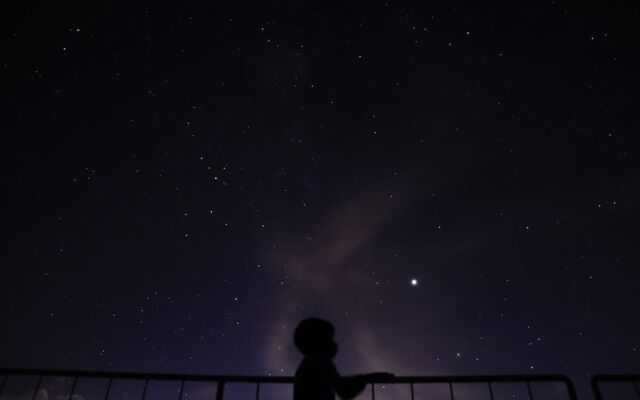 star light terrace TERUYA