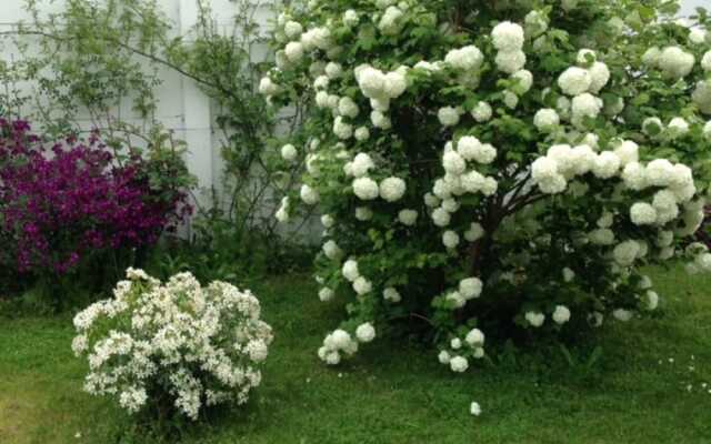 Chambres d'hôtes des Tourelles