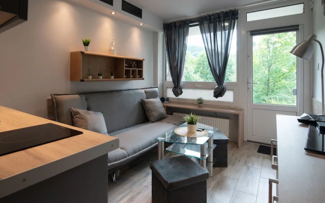 Apartamenty Sun & Snow Barbara Ustroń