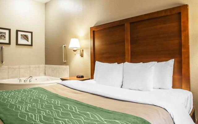 Comfort Inn & Suites St. Louis - O'Fallon