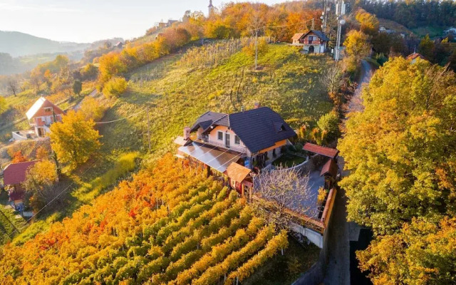 Vineyard Cottage Bregac