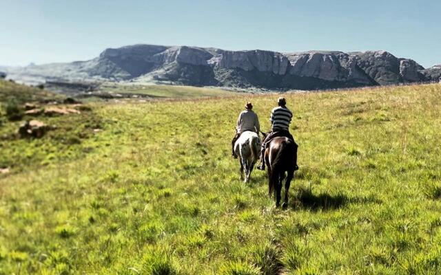 Wild Horses Lodge