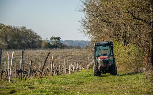 VANDENBELD Wines B&B