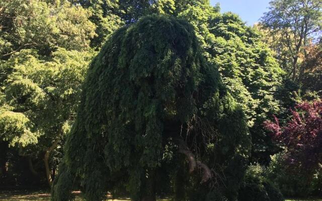 Le château d'Hermonville