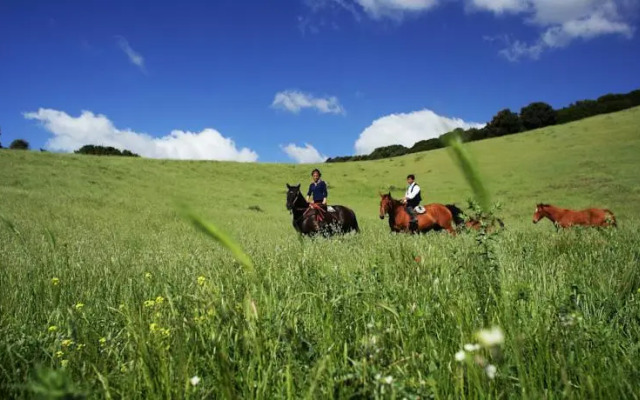 Agriturismo Terra Noas
