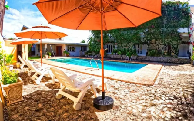 Divers Lodge Plumeria
